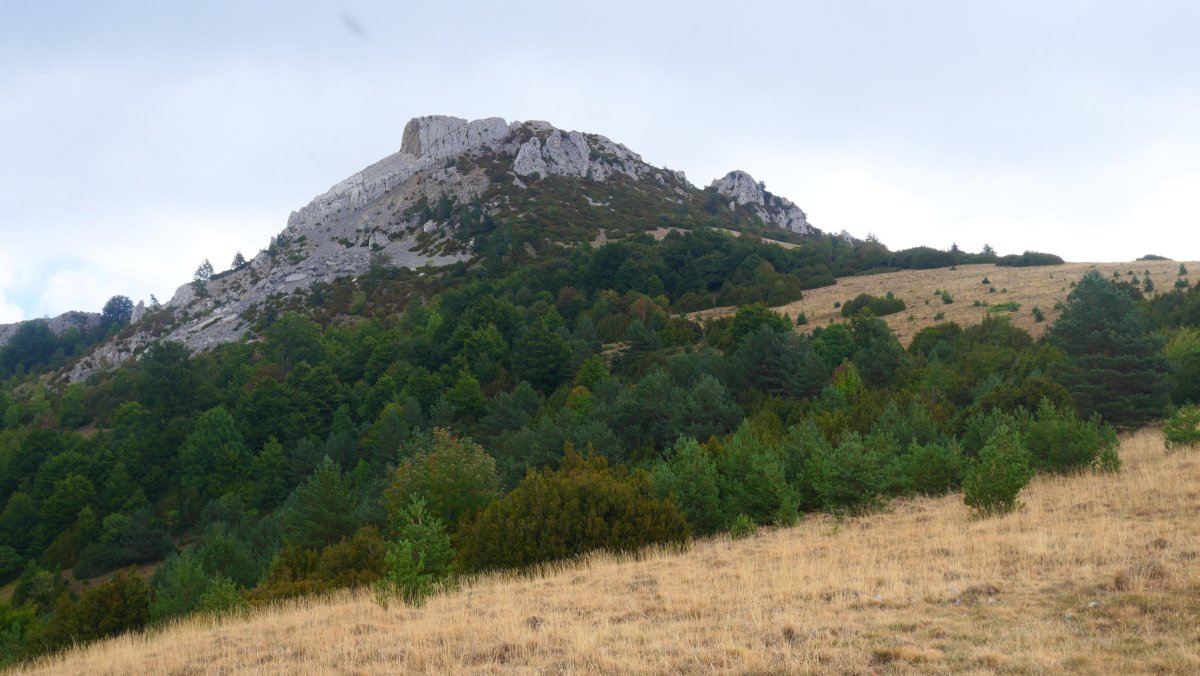 Larratza / Pikoatxikota, HMko isurialdea