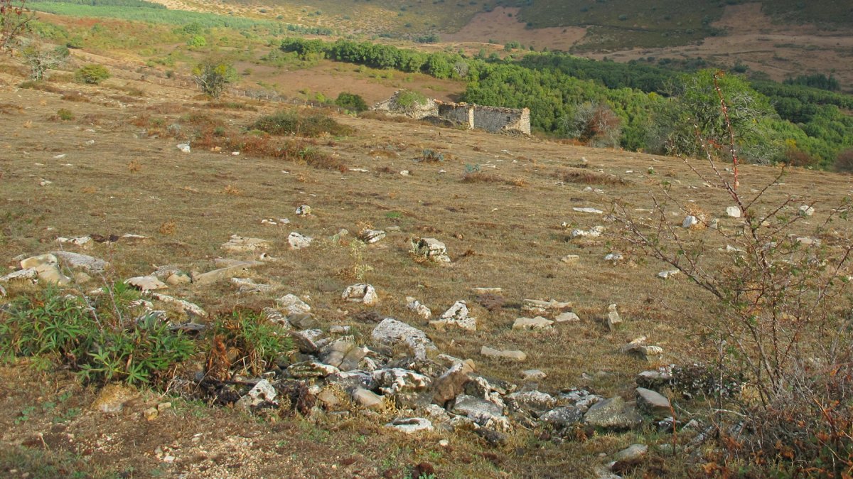 Corrales de Arteta 1 tumulua, Arteta-Ollo