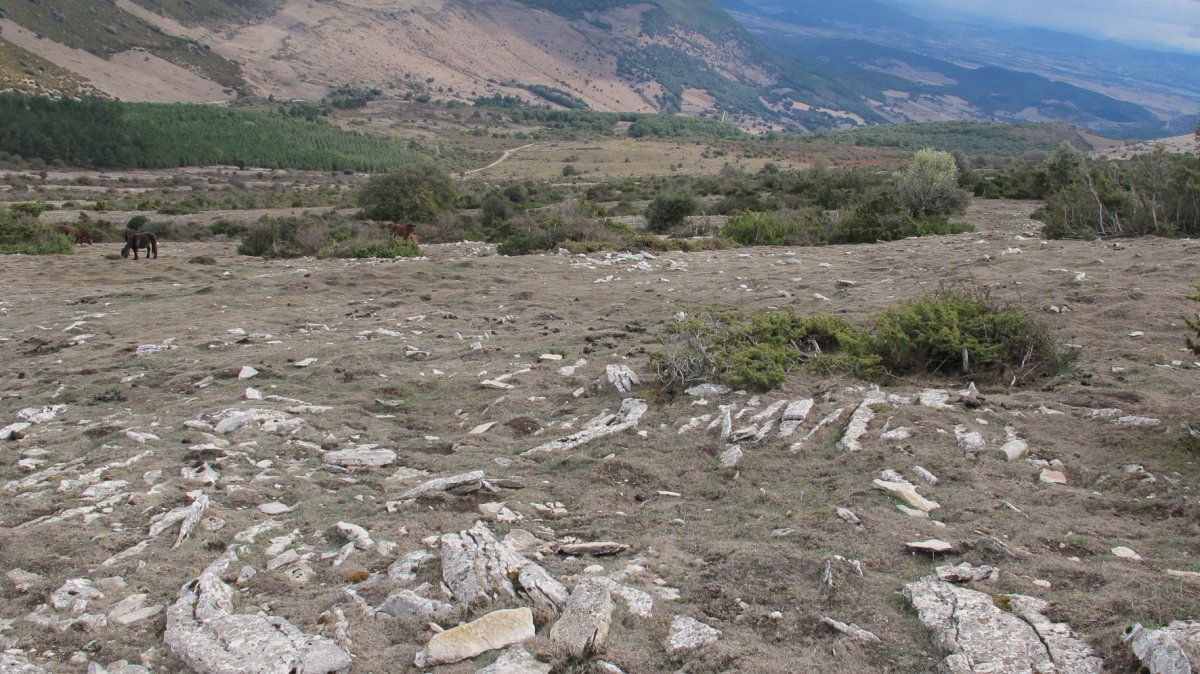 Alzemear 5 eraztun tumulua, Andia