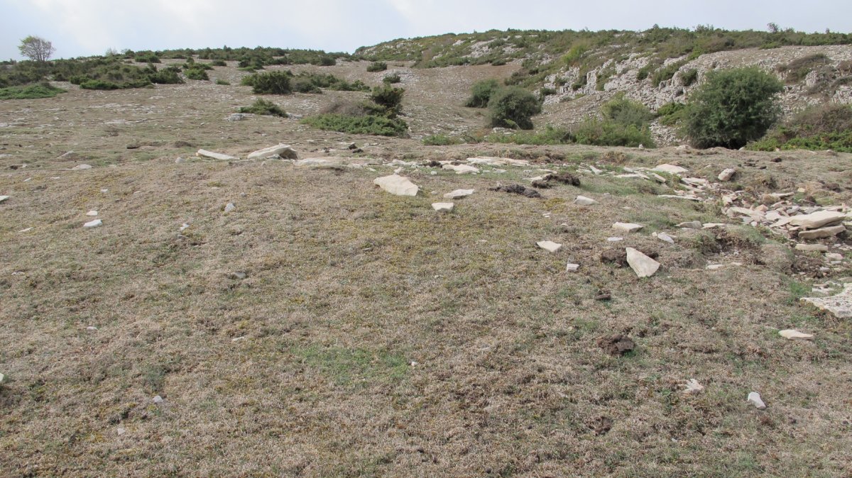 Alzemear 4 etxola hondoa, Andia