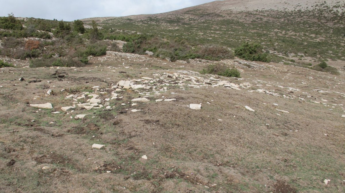 Alzemear 4 etxola hondoa, Andia