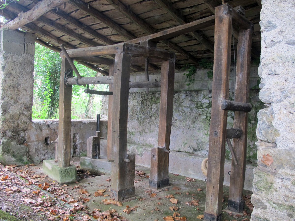 Perratokia, Alkaiaga-Lesaka