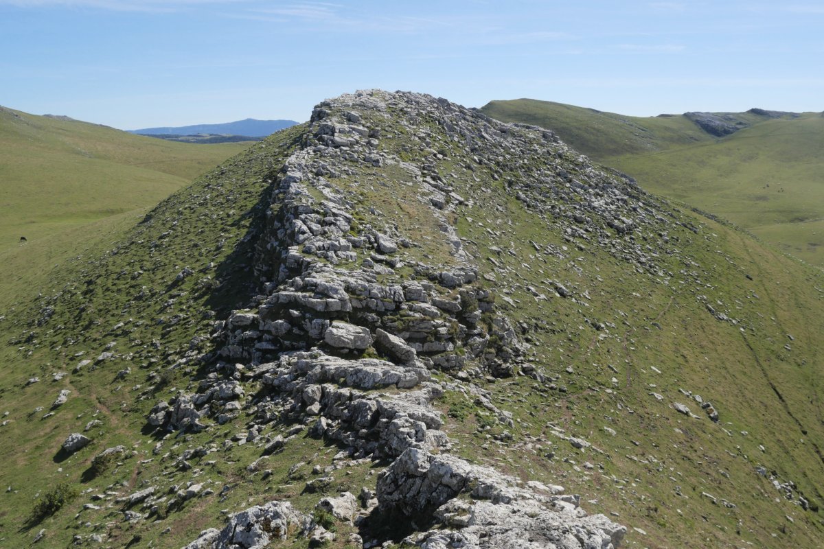 Arrubi tontorra erdiko muinotik