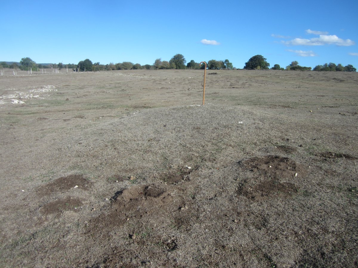 Túmulo Majadas de Allo 3 (octubre 2022)