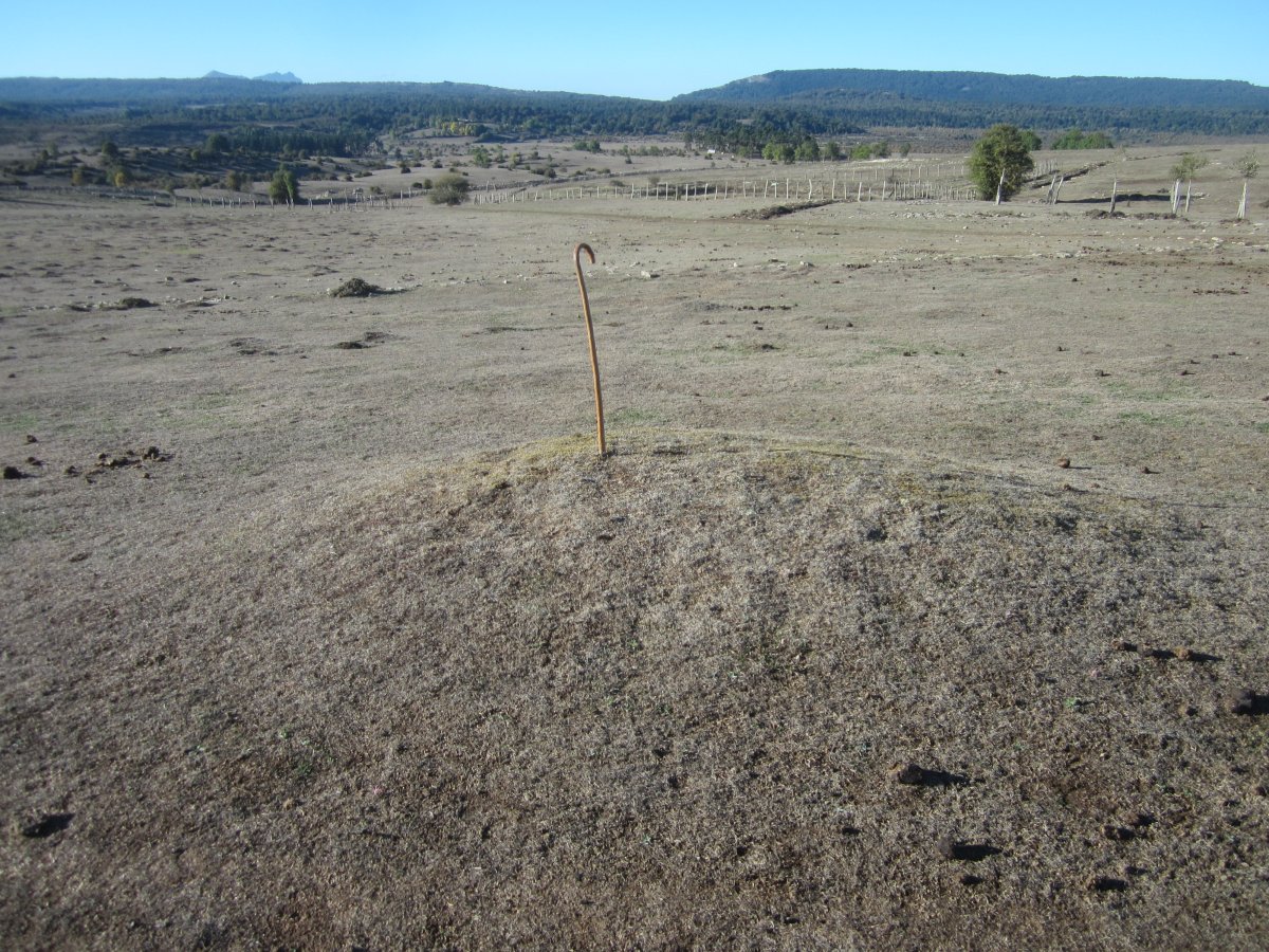 Fondo de Cabaña Majadas de Allo 1  (Octubre 2022)