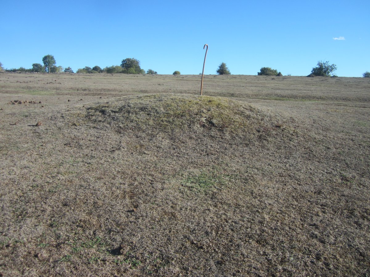 Fondo de Cabaña Majadas de Allo 1  (Octubre 2022)