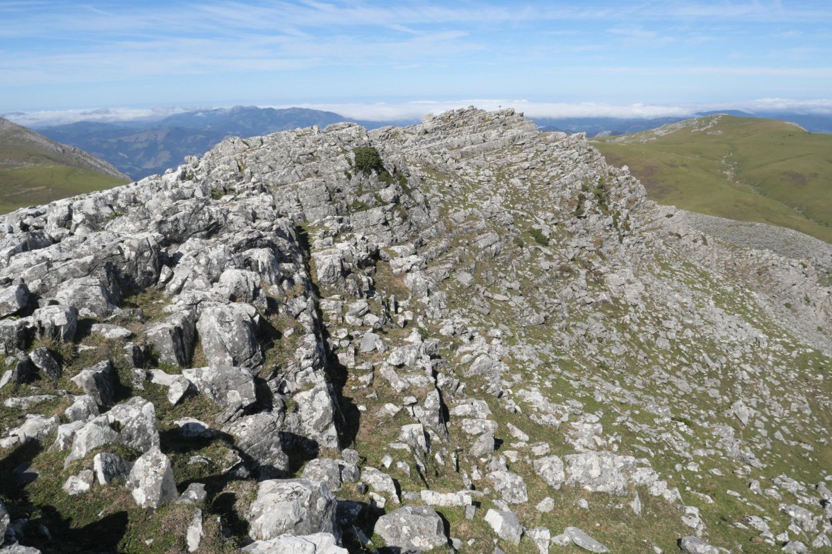 Tontorra, Ganboatxiki