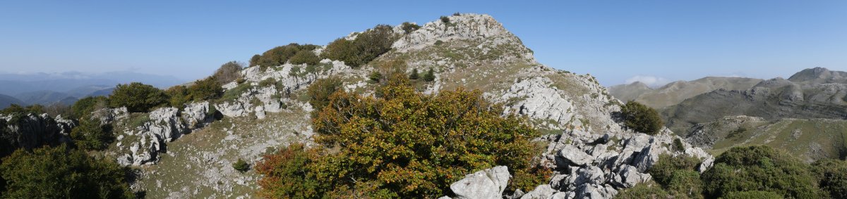 Hegoaldeko bizkarreko panoramika, Pardarri.