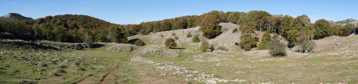 HEko larre eremua, Uazkuru