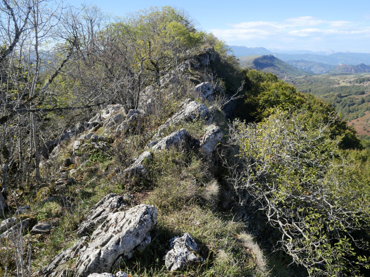 Ekialdeko bizkarreko pasarte bat, Akaitz