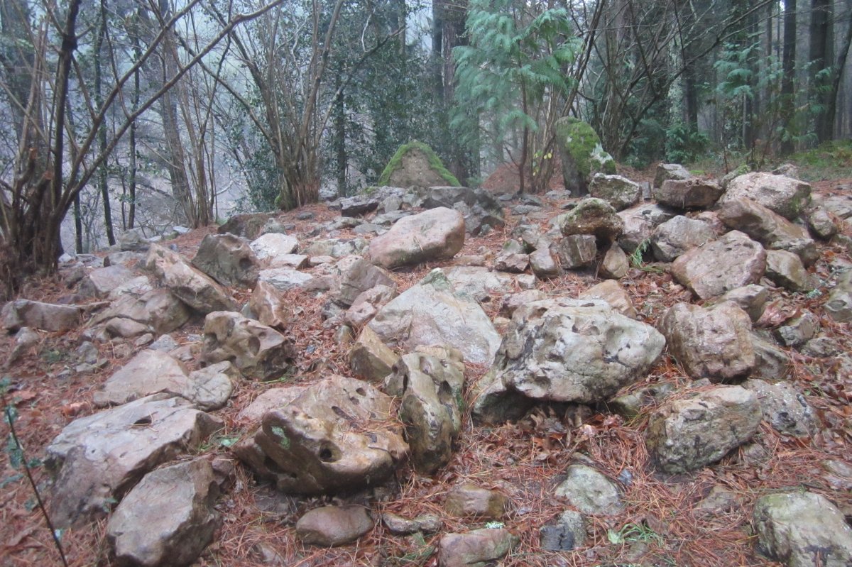 Dólmen Txangosta (01-2019)