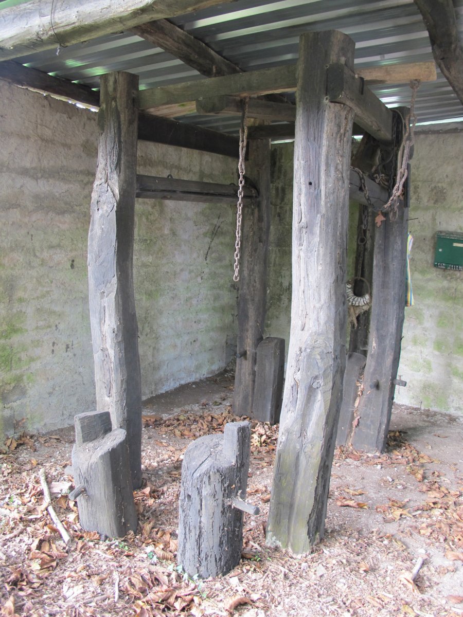 Perratokia, Alkegi-Bera