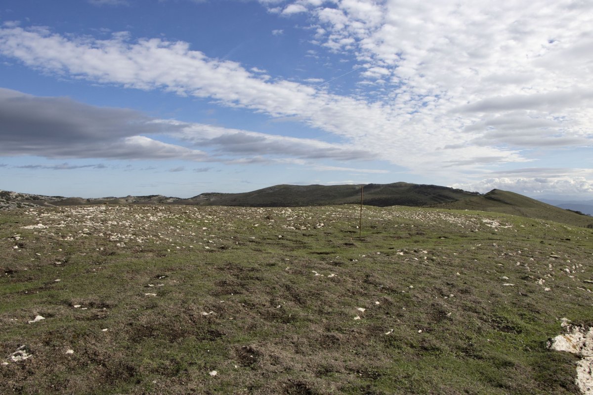 San Donatoko Bidea 2