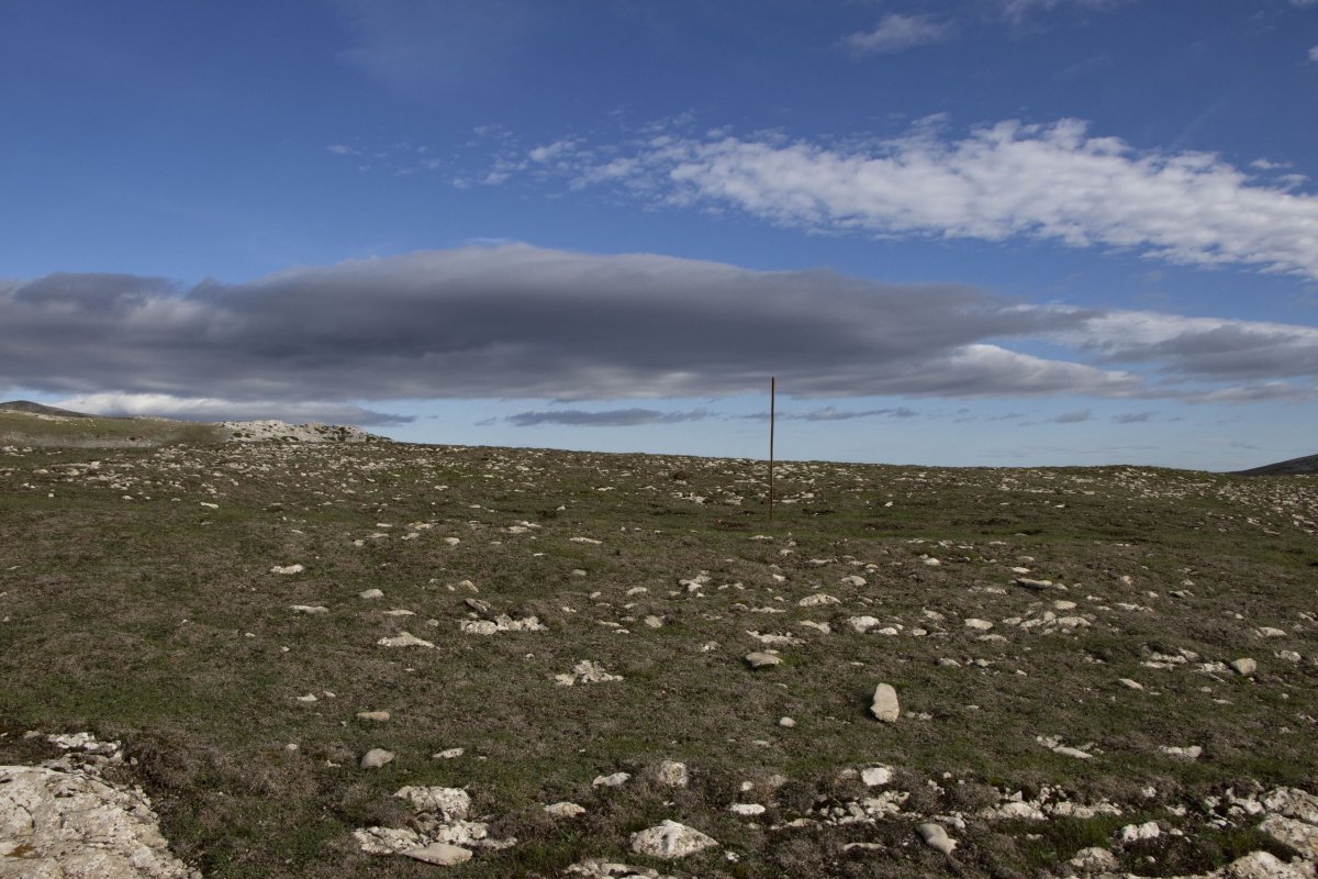 San Donatoko Bidea 2