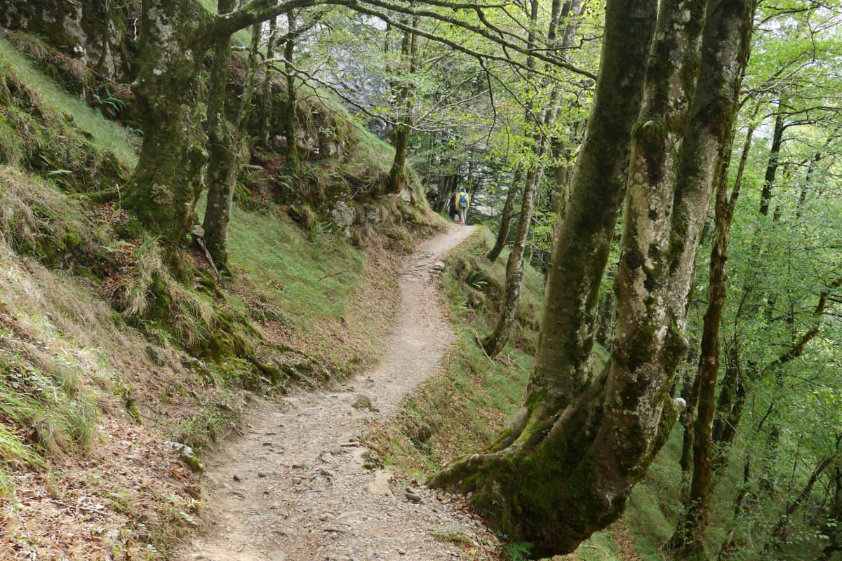 Lizarrustik aldeko bideko pasarte bat
