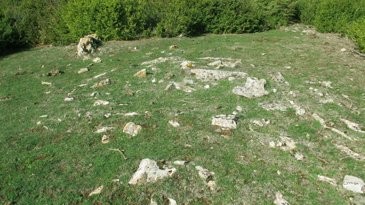 Borda Berri 3 tumulua, Andia