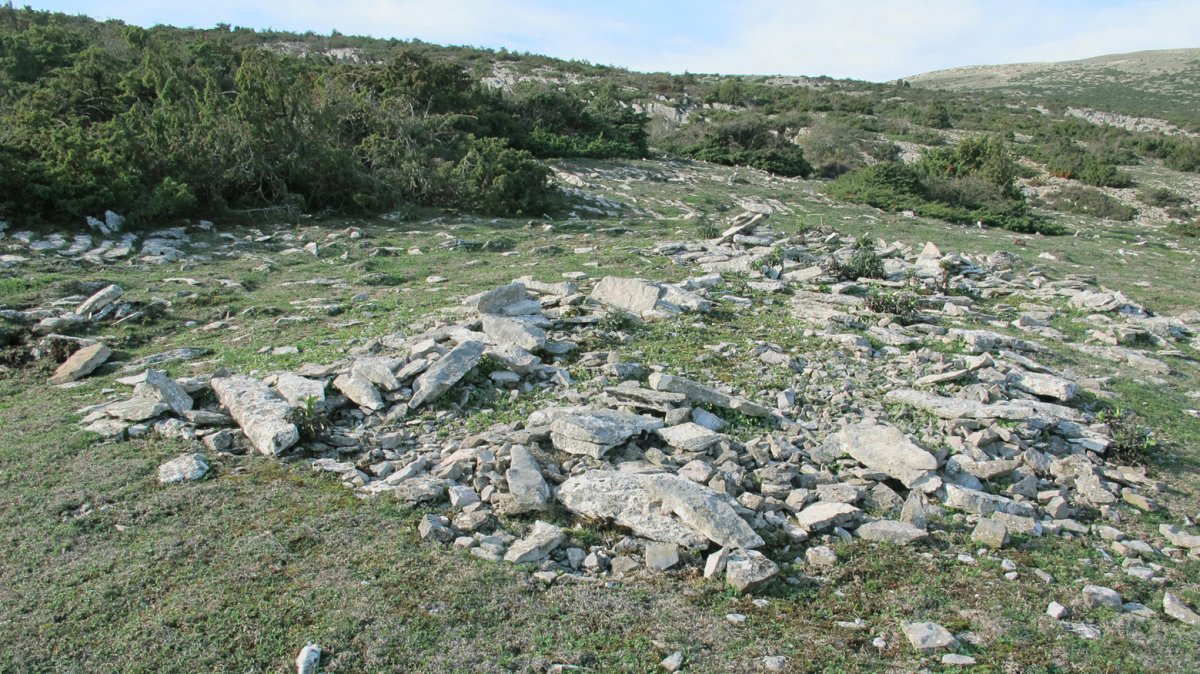 Alzemear 6 etxola hondoa, Andia