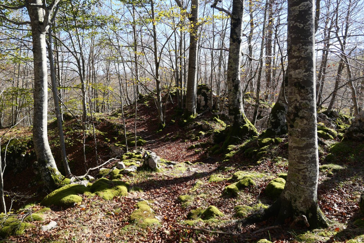 Belokira gerturatzen HEko hegian gora