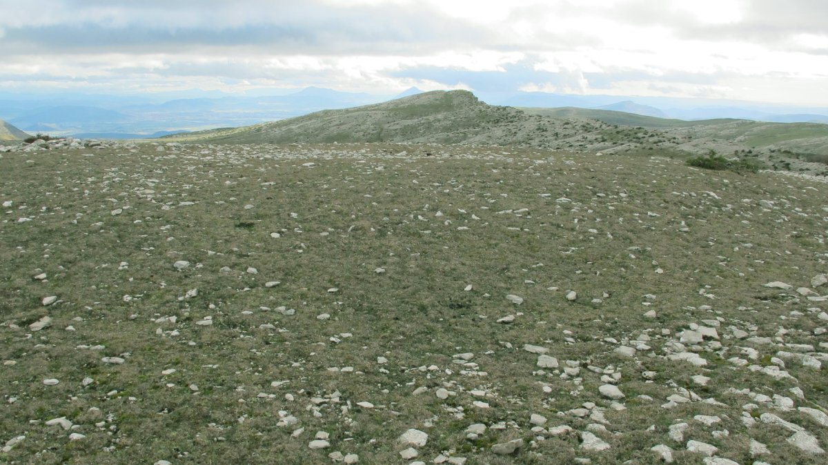 Portuxar este (Alto Redondo 2) eraztun tumulua, Andia