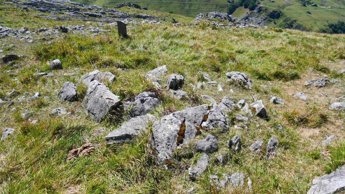 Ormatza I trikuharria