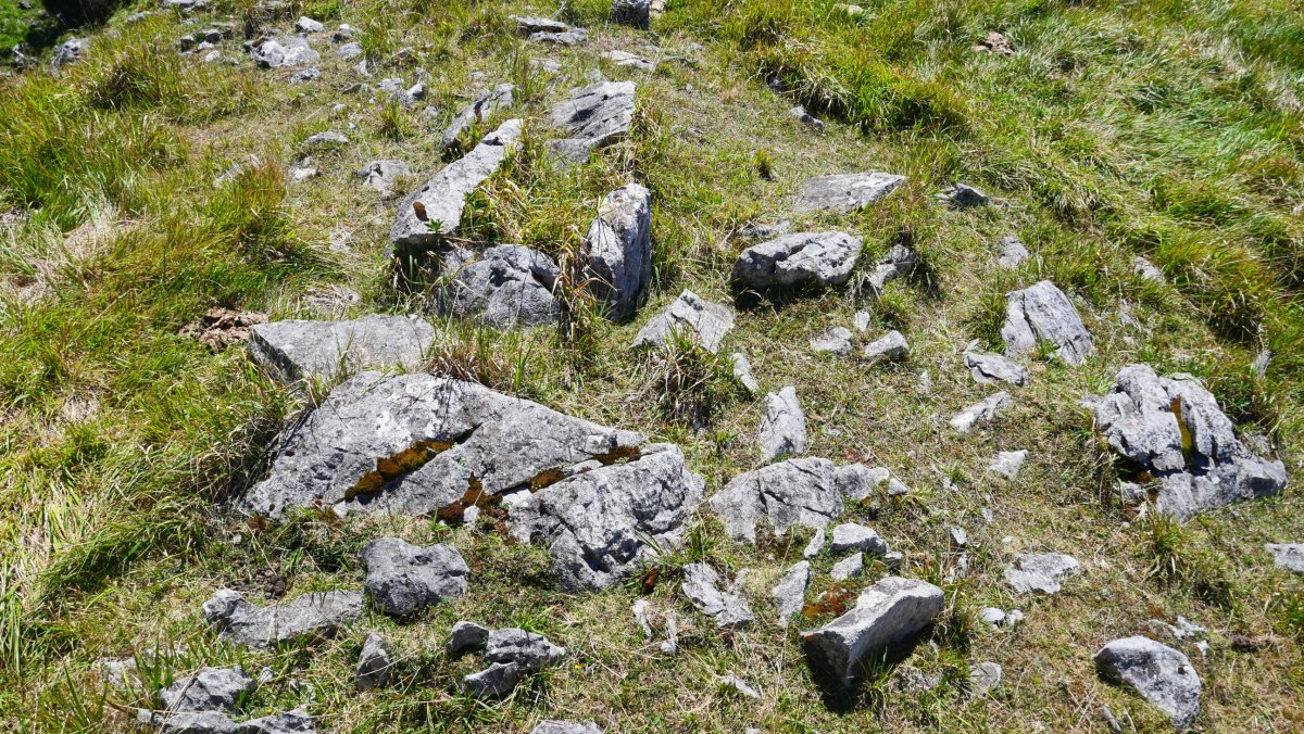 Ormatza I trikuharria