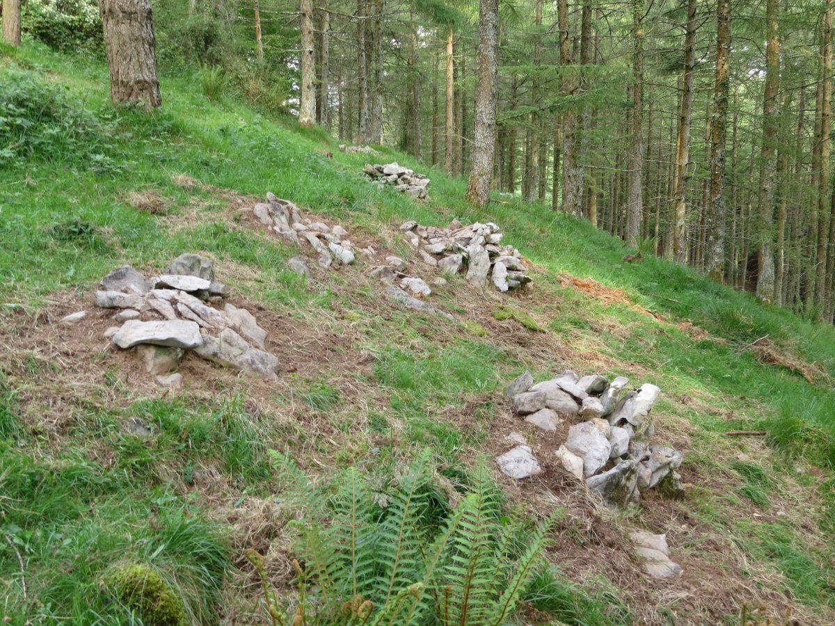 Campo tumular ARTEGIETA II