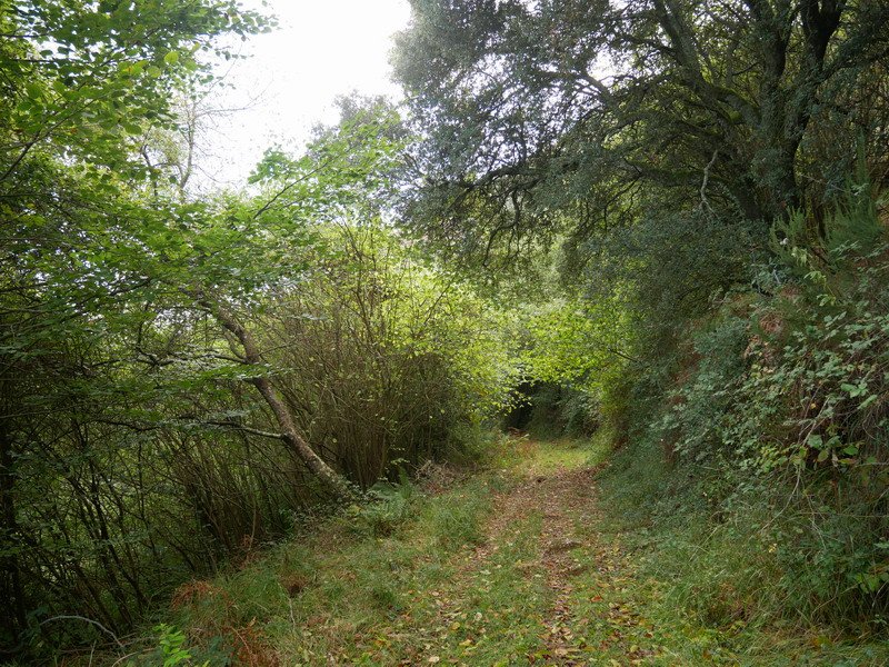 Jaitsierako pasarte bat