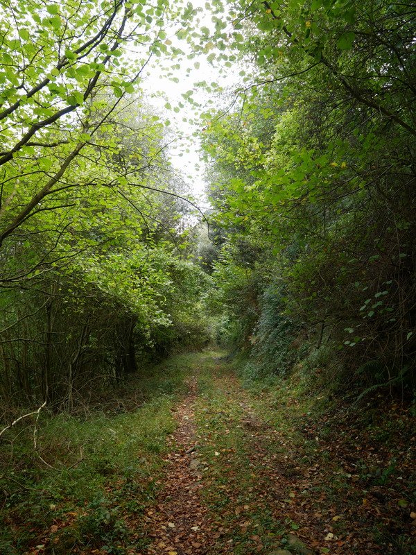 Jaitsierako pasarte bat