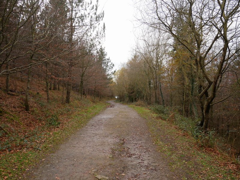 Ibilbideko tarte bat