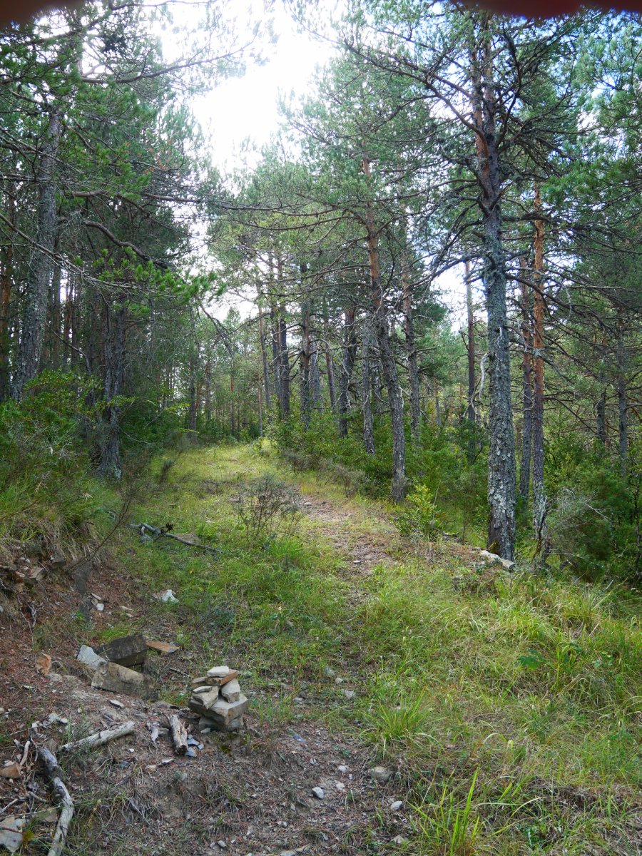 Altxunbideko pasartea