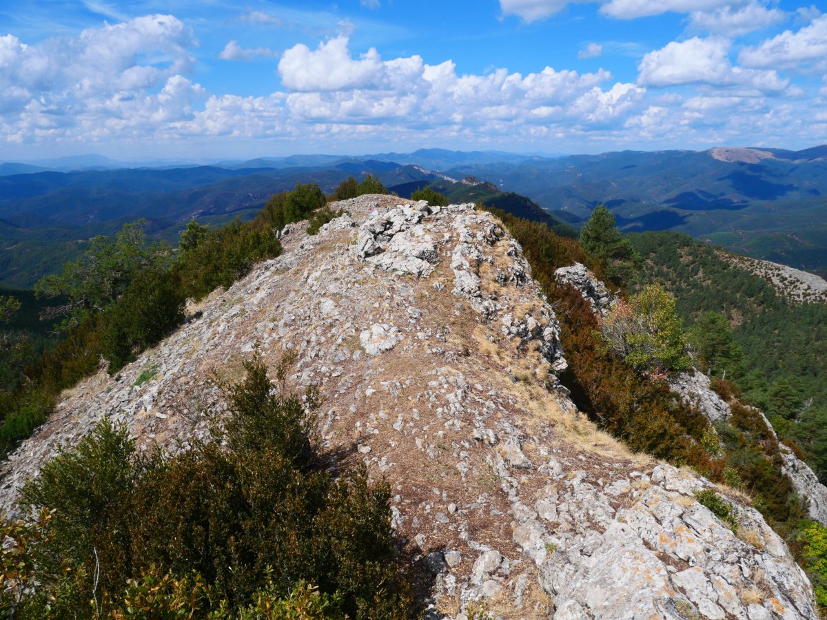 Dozola tontorra ekialdetik