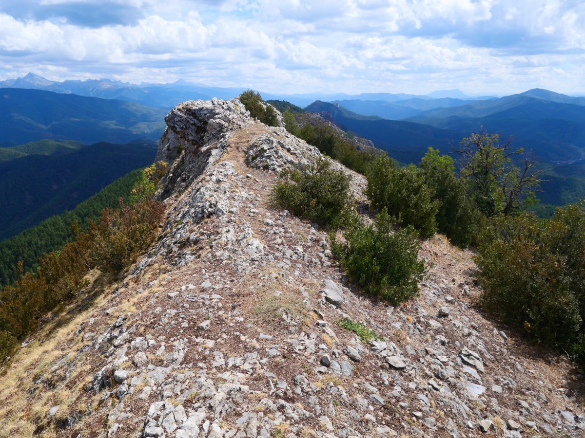 Dozola tontorra mendebaldetik