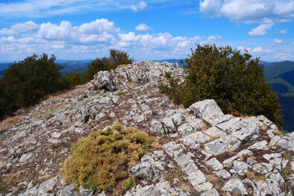 Rincón de Dozola tontorra