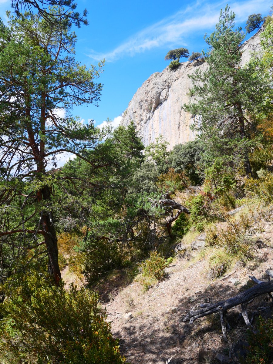 Ekialdetik, gandorraren magaletik datorren bidea