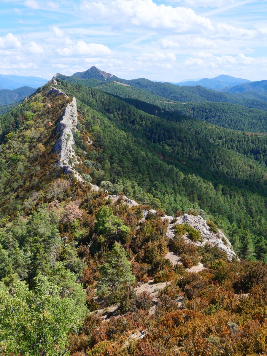 Ekialdeko gandorra tontorretik, Dozola urrutian