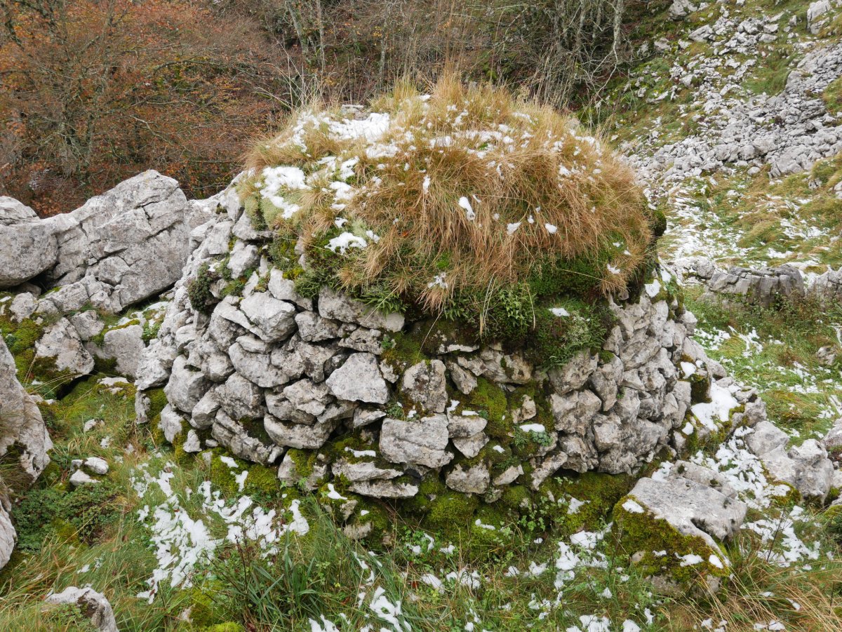 Arkue Gurutzeaga aldean 