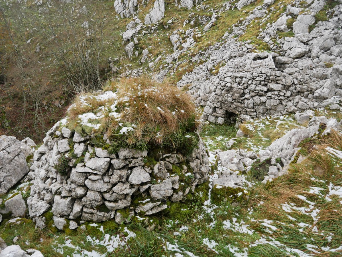 Arkue Gurutzeaga aldean 