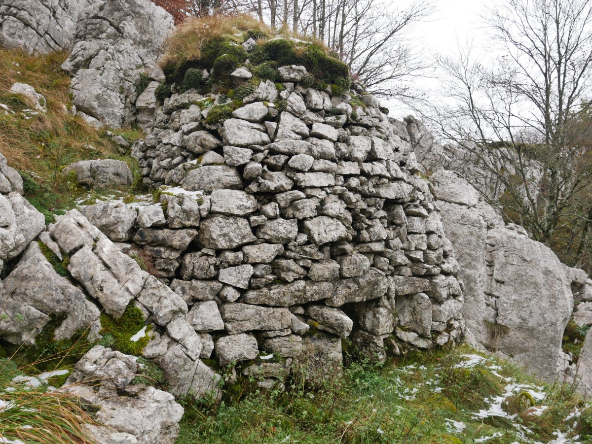 Arkue Gurutzeaga aldean 