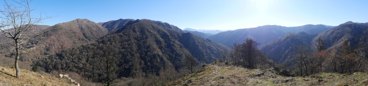 Pikako torrezarreko ikuspegia