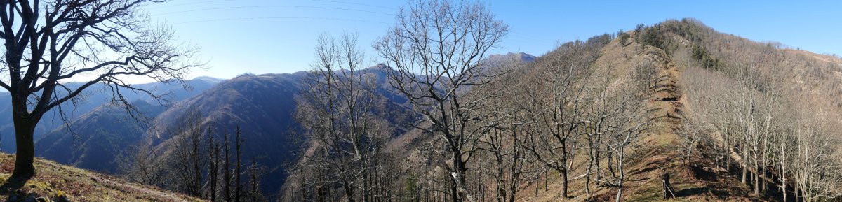 Arribeltza ingurutik Pagogaña aldera begira