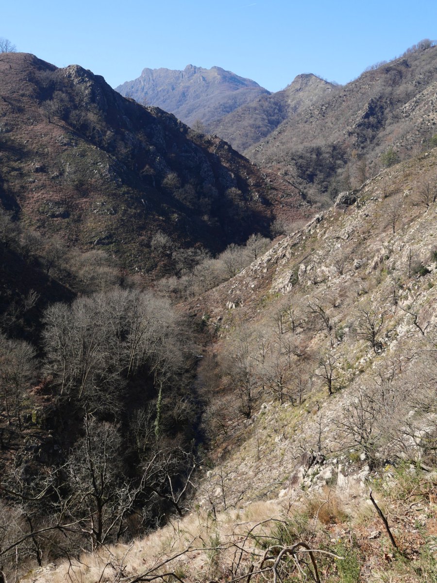 Endarako ibar malkartsua, Aiako Harria buruan duela