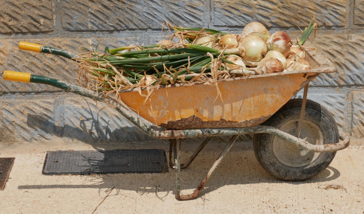 Tipula betetako orgatxoa, Bidaurre herrian