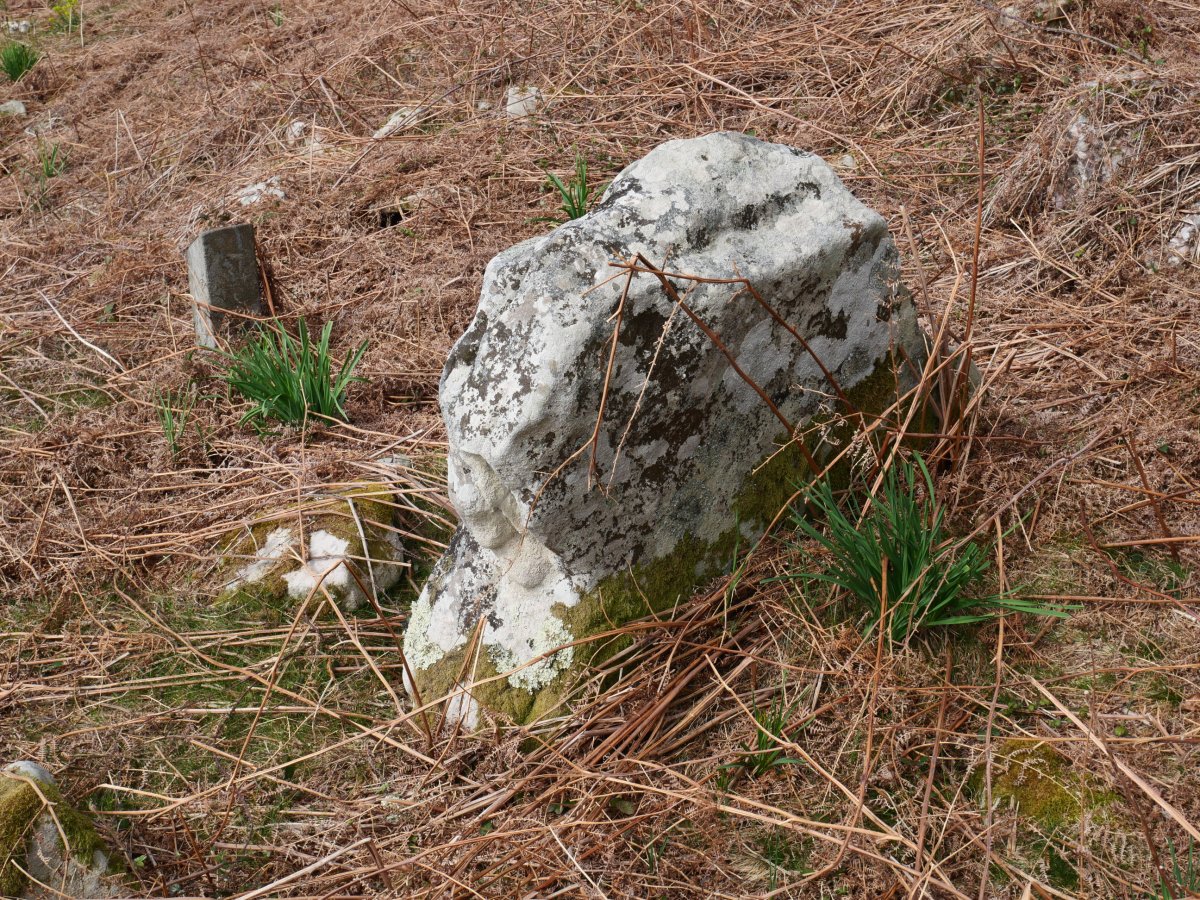 Malete zutarria, Bera