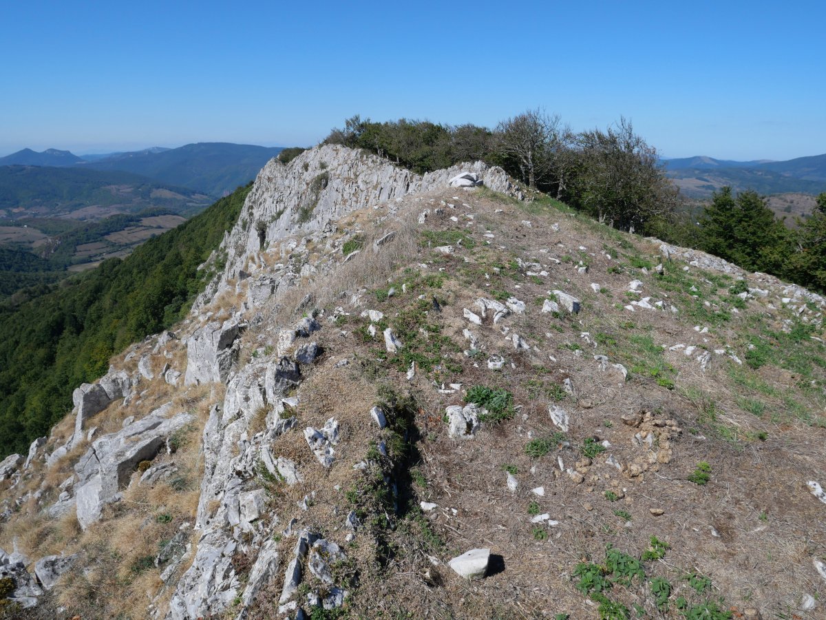 Ekialdeko tontorra, Arrondoa