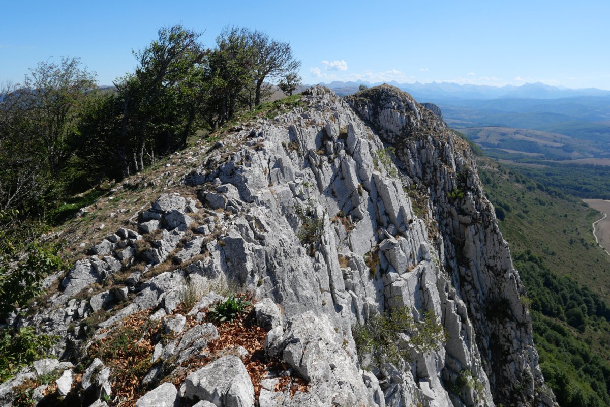 Ekialdeko tontorra, Arrondoa