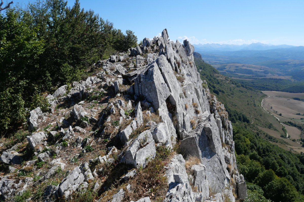 Haitz mutur zorrotzak mendebaldeko gandorrean