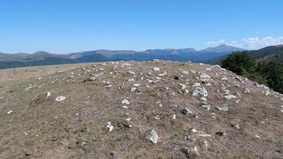 Ugagibel trikuharria