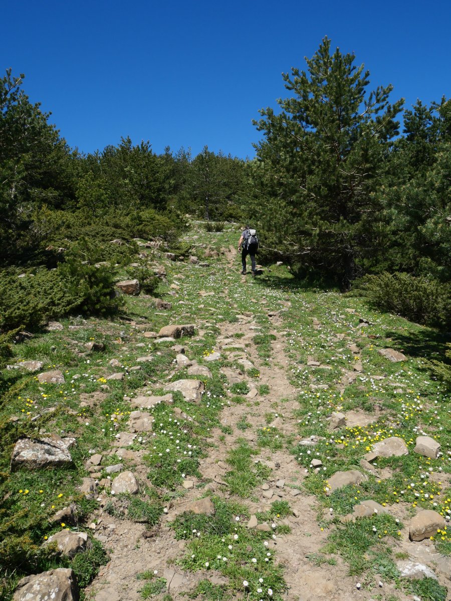 HEko bizkarrean gora