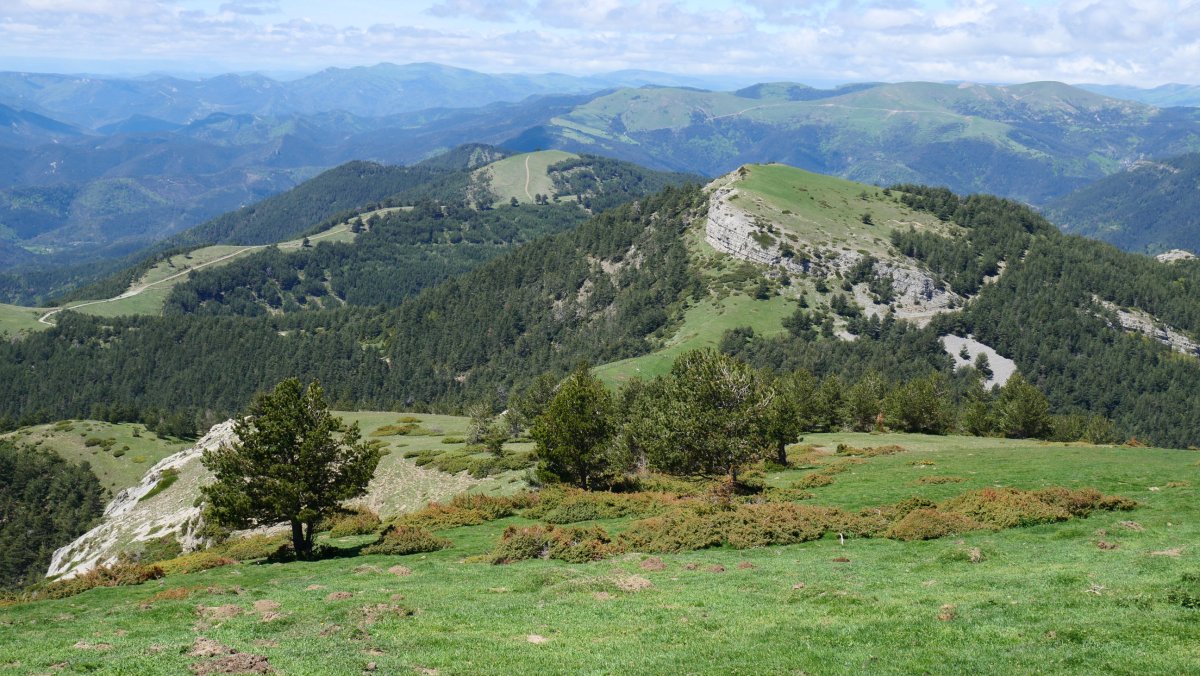 Tontorretik mendebaldera begira