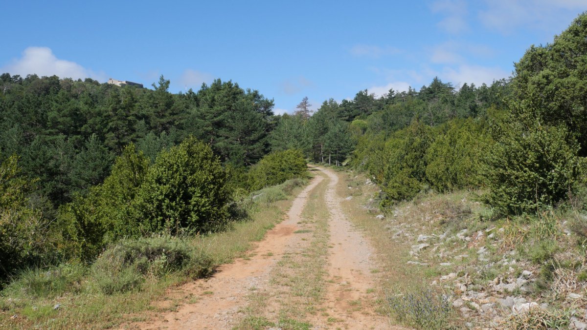 Goien Salbaterratik pista zabal batekin egingo dugu topo